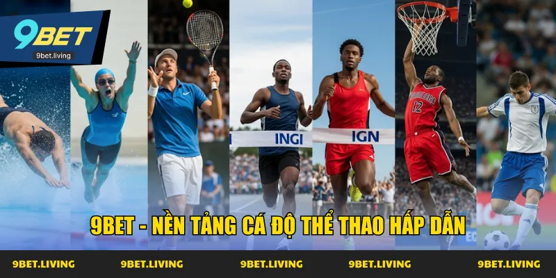 9BET - Nền tảng cá độ thể thao hấp dẫn