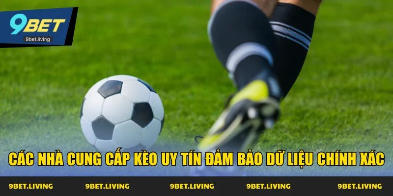 Các nhà cung cấp kèo uy tín đảm bảo dữ liệu chính xác