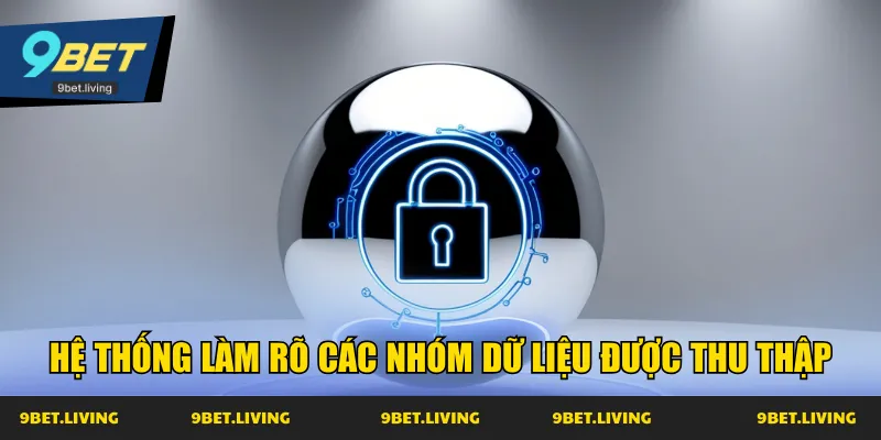 Hệ thống làm rõ các nhóm dữ liệu được thu thập