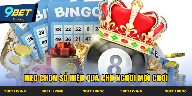 Mẹo chọn số hiệu quả cho người mới chơi