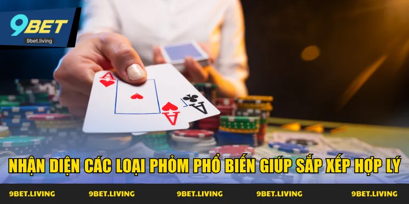 Nhận diện các loại Phỏm phổ biến giúp sắp xếp hợp lý