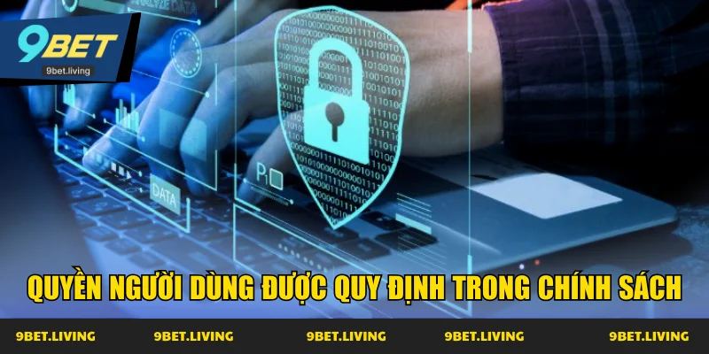Quyền người dùng được quy định trong chính sách